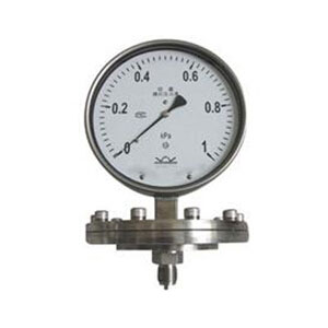 Diaphragm Pressure Gauge