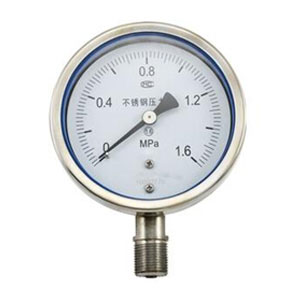 Stainless Steel Pressure Gauge