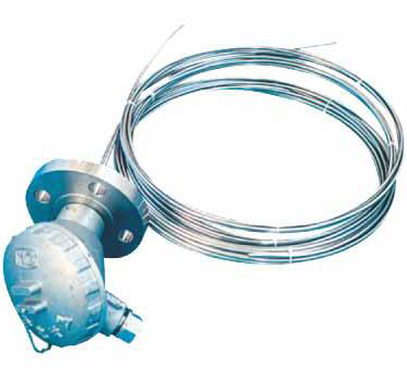 Multi-Point Armored Thermocouple/RTD